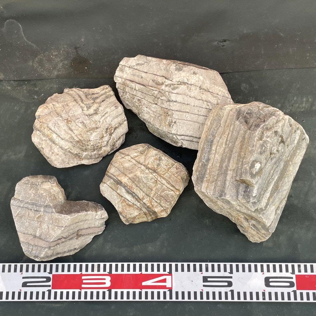 京都 桂川紫石 抜け石 18kg 嵐山 保津峡 庭石 観賞石 水石 京都 桂川紫石 抜け石 18kg 嵐山 保津峡 庭石 観賞石 水石